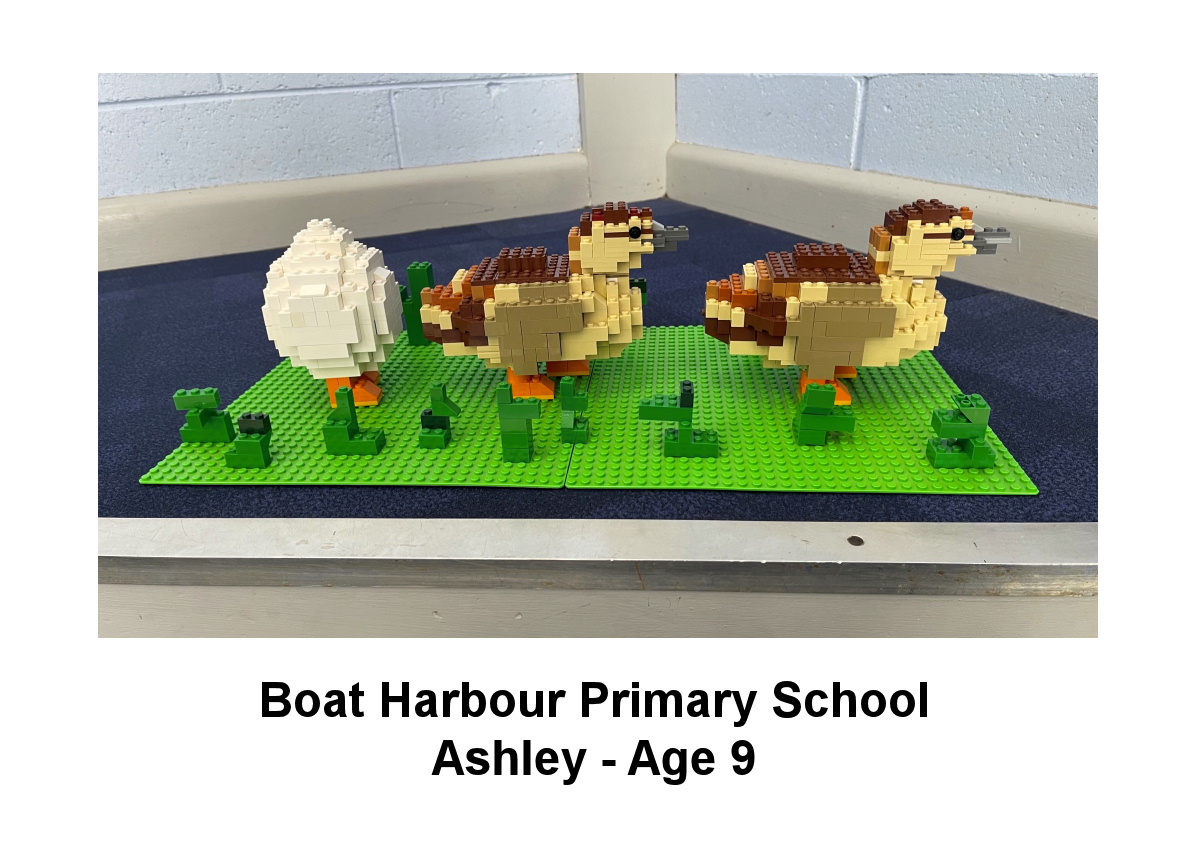 Boat Harbour Primary School